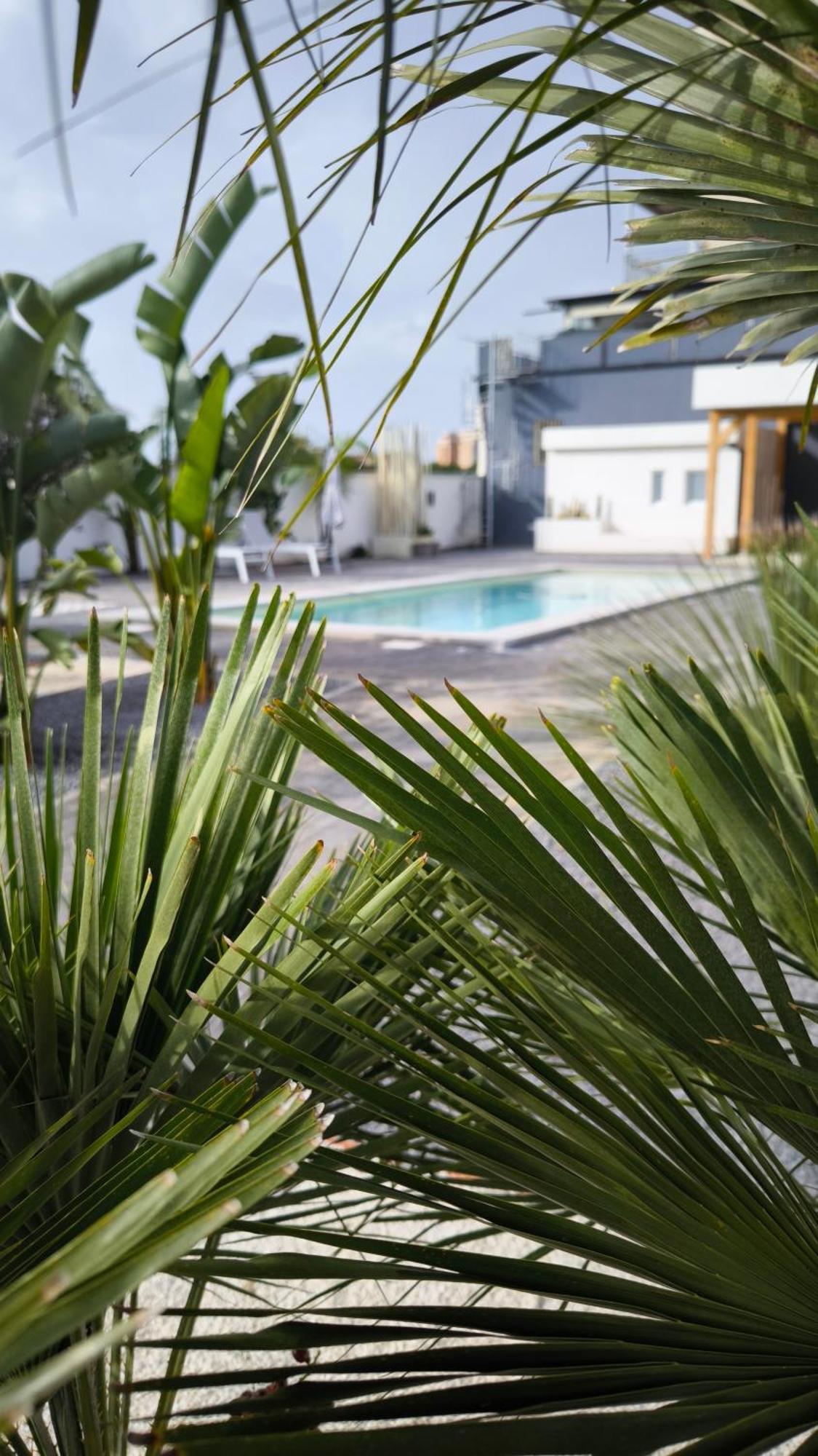 Vistamare Beach Garden Relax 산리온 외부 사진
